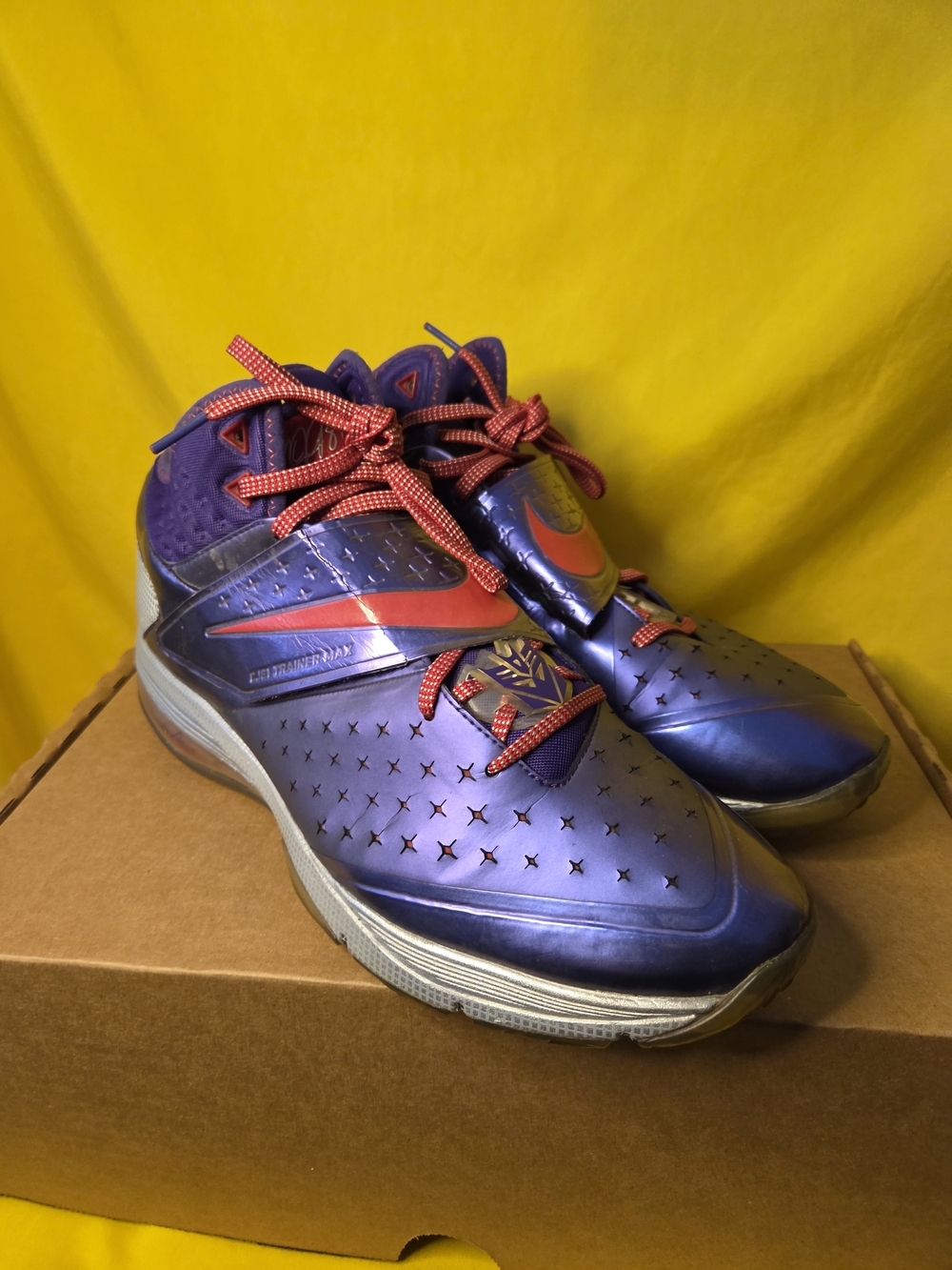 Nike CJ81 Trainer Max "Megatron" Basketball Shoes Worn/ Not In Original Box